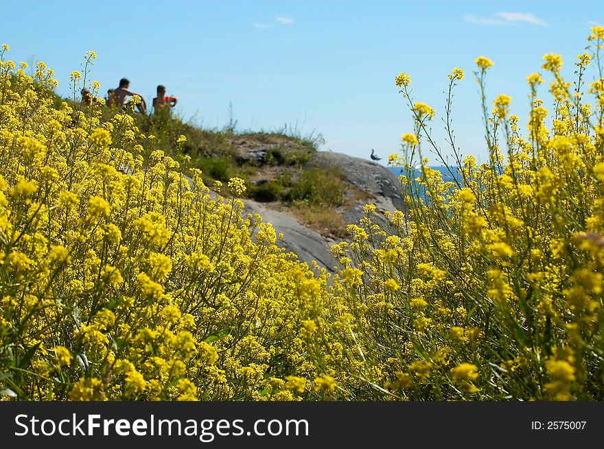 A couple sitting on a cliff with yellow flowers. A couple sitting on a cliff with yellow flowers