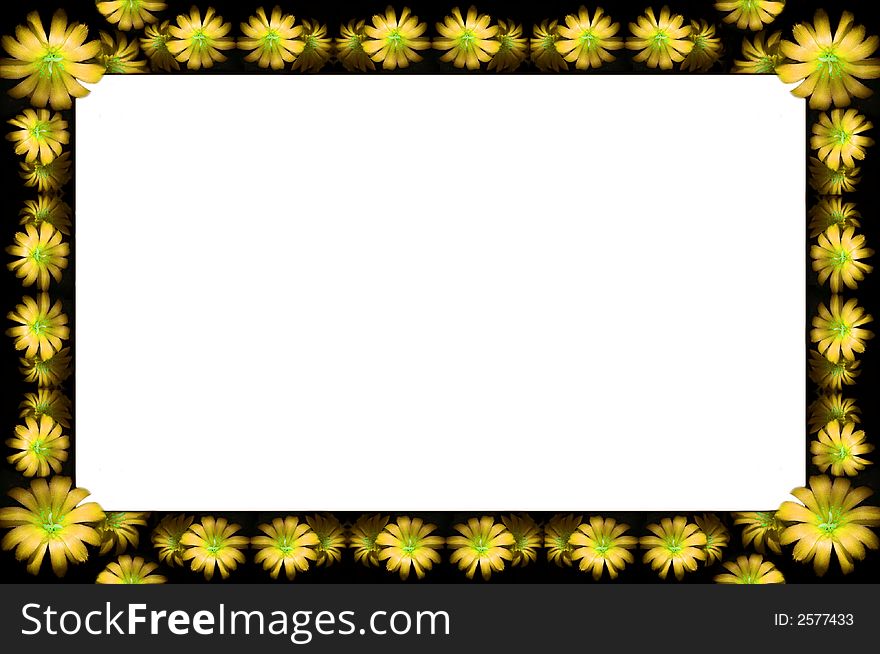 Abstract floral dark frame with yellow flowers. Abstract floral dark frame with yellow flowers