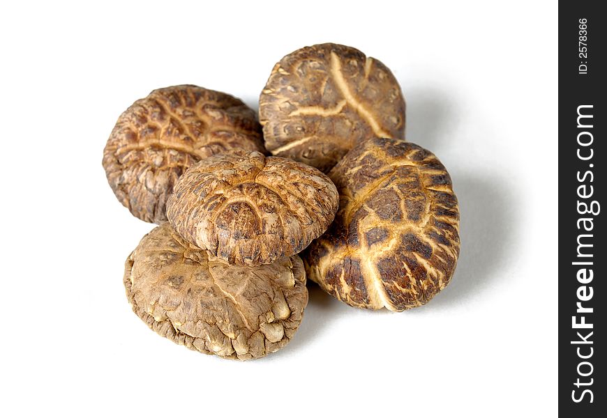 Dried mushrooms isolated on a white background