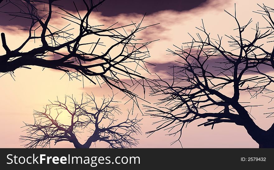 Tree silhouettes  at sunset - 3d scene. Tree silhouettes  at sunset - 3d scene.