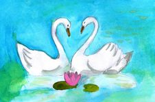 Two Swans Stock Photos