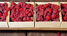 Small Containers Of Raspberries Ready For Sale Stock Images