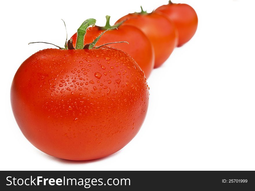 Line of tomatos isolated over white