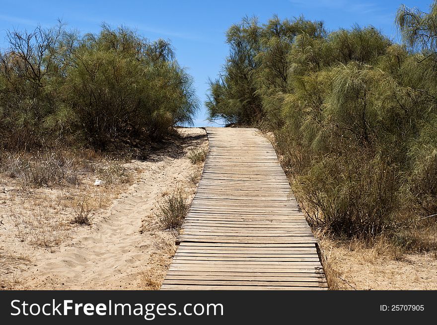 General view of beach with path toward the sea