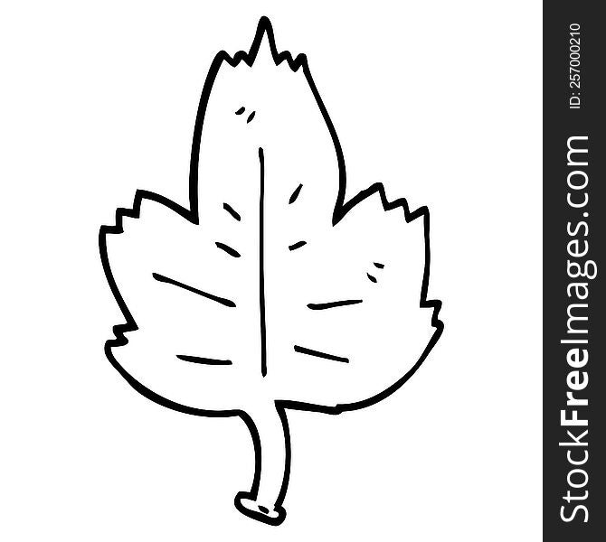 Line Drawing Cartoon Leaf