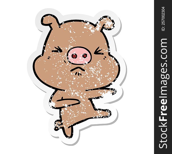 distressed sticker of a cartoon angry pig kicking out