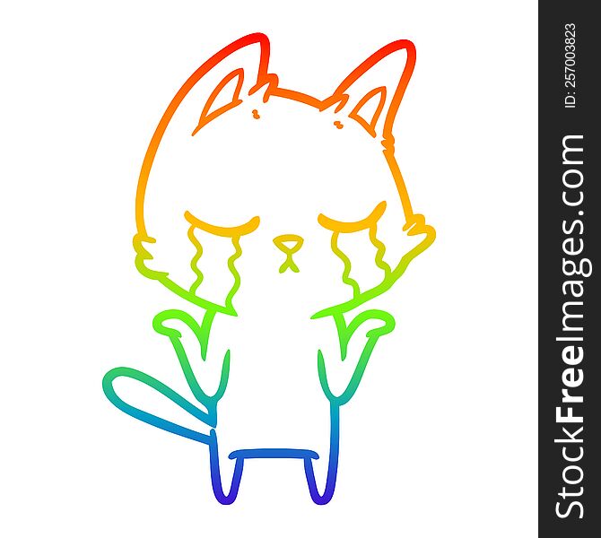 Rainbow Gradient Line Drawing Crying Cartoon Cat Shrugging