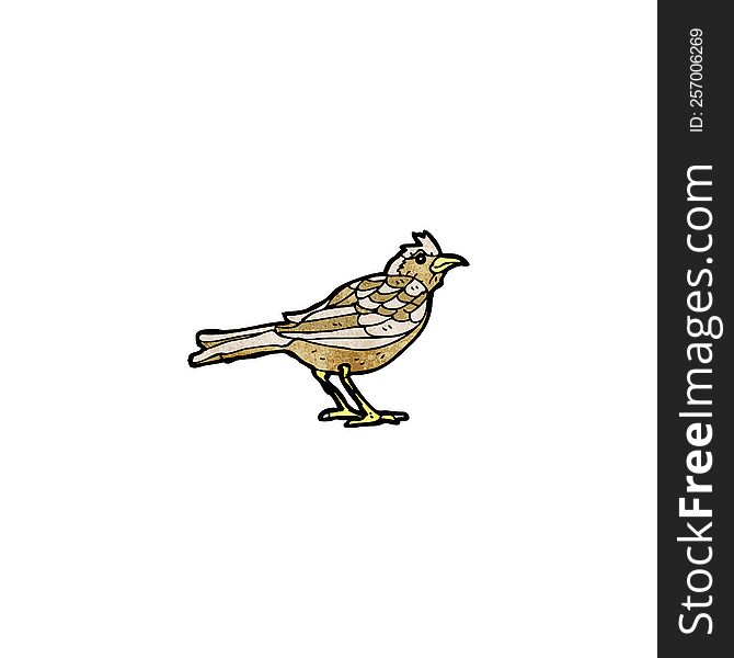 garden bird illustration