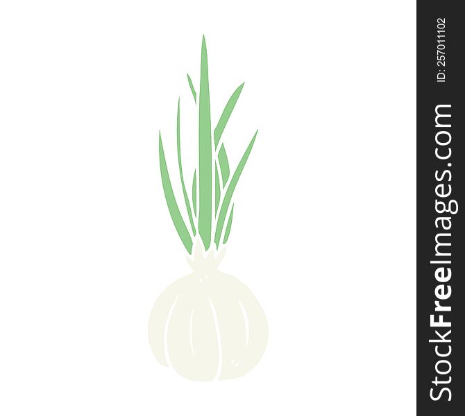 flat color style cartoon garlic bulb