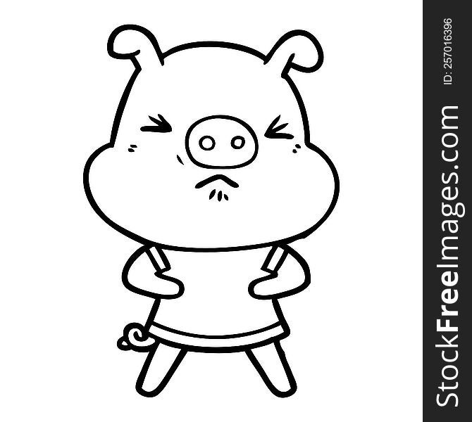 cartoon angry pig wearing tee shirt. cartoon angry pig wearing tee shirt
