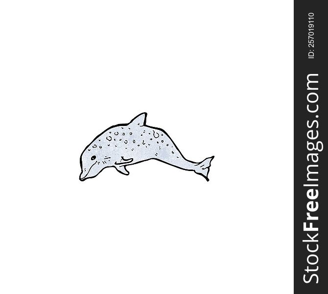 Dolphin Illustration