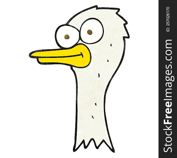 freehand textured cartoon ostrich head