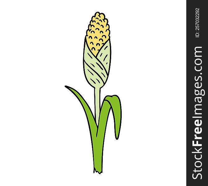 hand drawn cartoon doodle of fresh corn on the cob