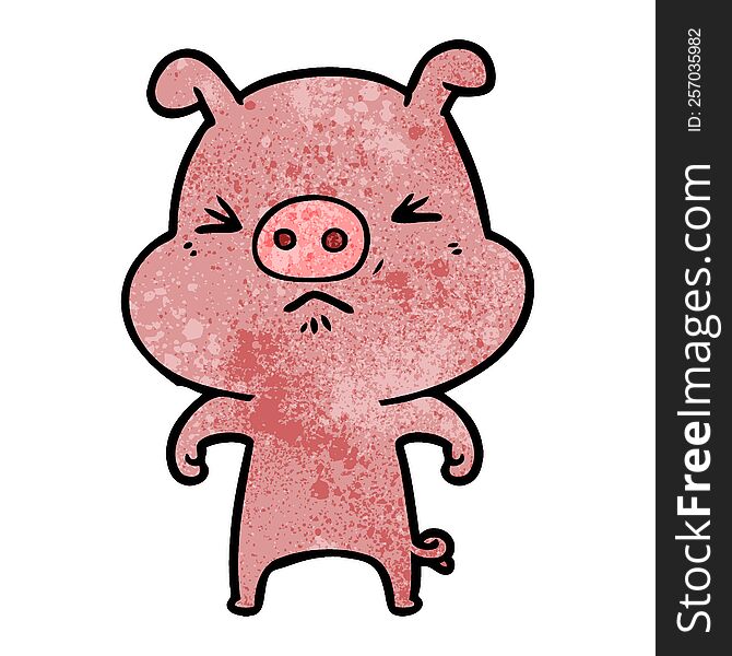 cartoon angry pig. cartoon angry pig