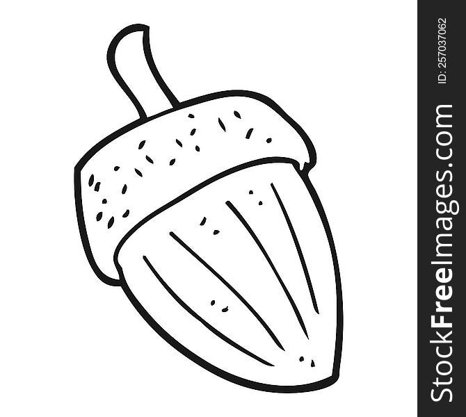freehand drawn black and white cartoon acorn