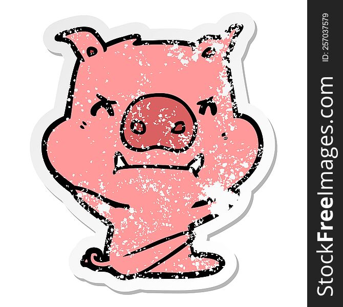 Distressed Sticker Of A Angry Cartoon Pig Throwing Tantrum