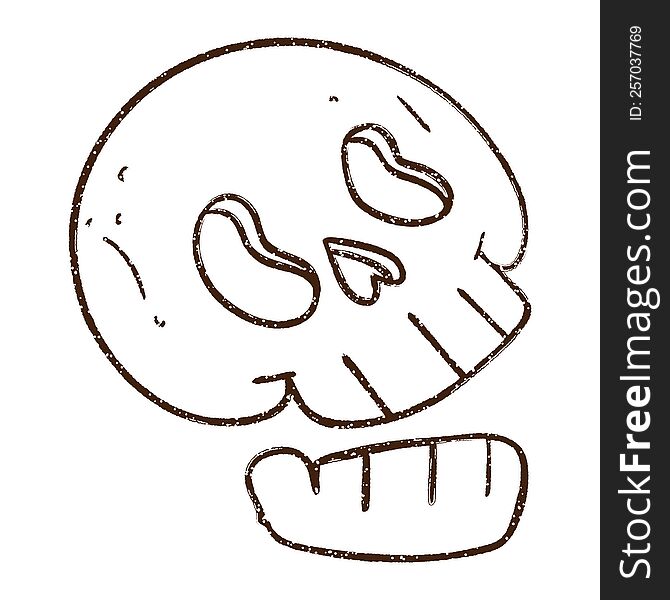 Skull Charcoal Drawing