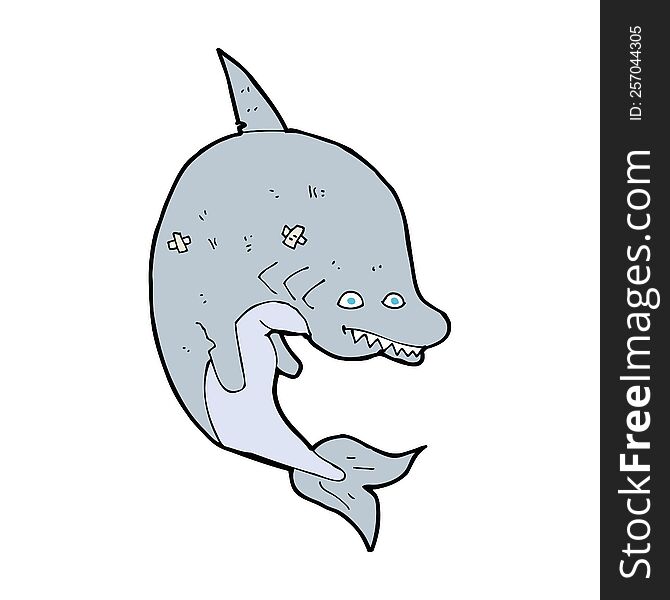 Cartoon Shark