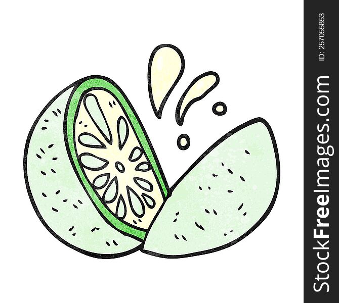 freehand textured cartoon melon