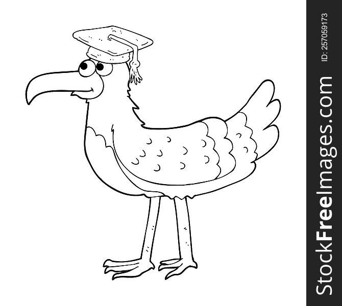 freehand drawn black and white cartoon seagull with graduate cap