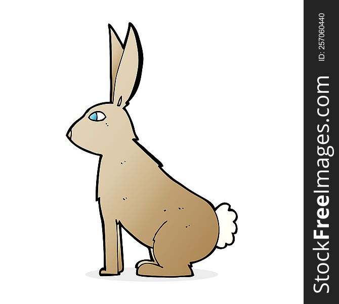 Cartoon Rabbit