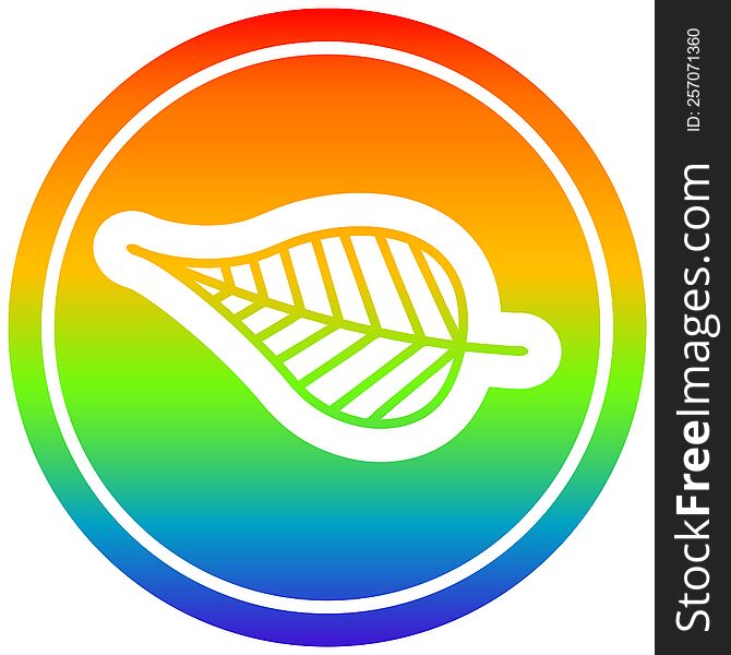 natural leaf circular in rainbow spectrum