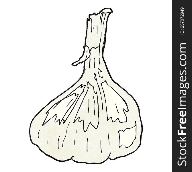 freehand textured cartoon garlic
