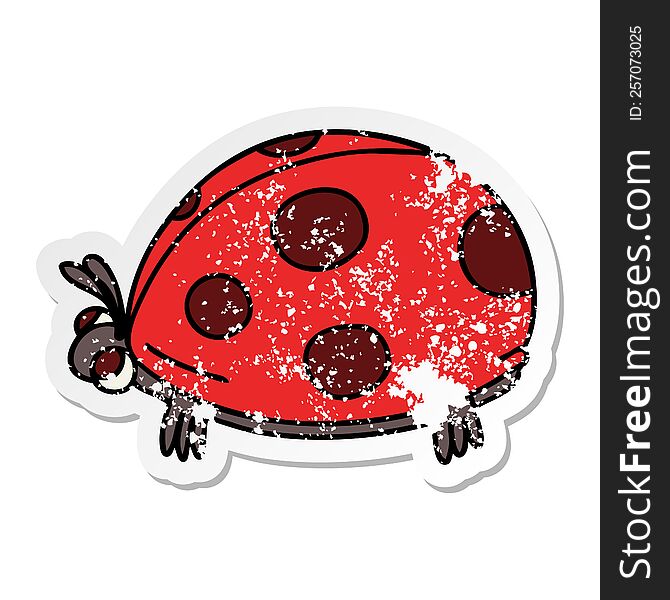distressed sticker of a quirky hand drawn cartoon ladybird