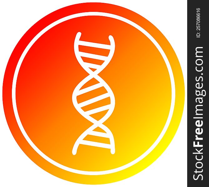 DNA chain circular icon with warm gradient finish. DNA chain circular icon with warm gradient finish