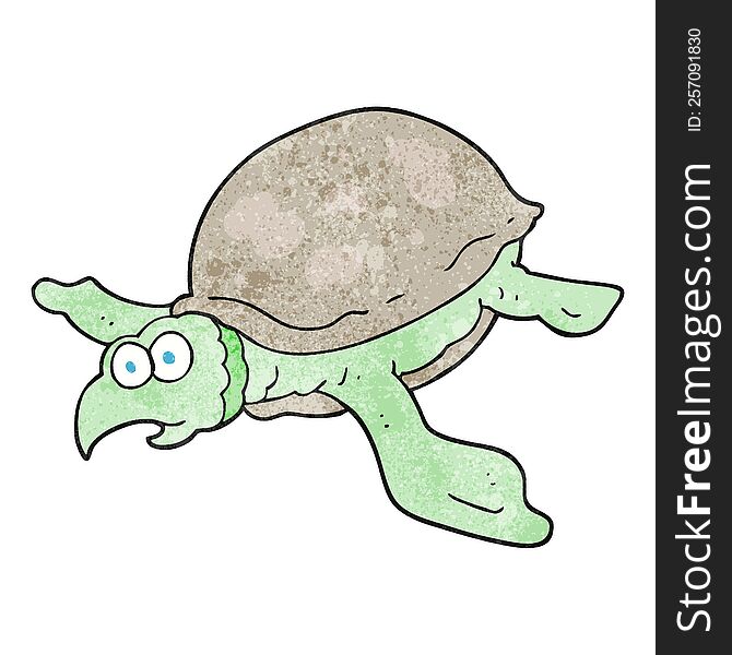 Textured Cartoon Turtle