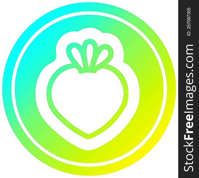 fresh fruit circular icon with cool gradient finish. fresh fruit circular icon with cool gradient finish