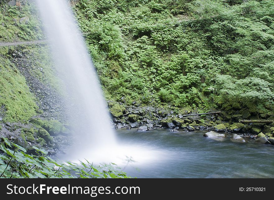 Horse Tail hiking trail, this is Pony Tail Falls, just outside of Multnomah Falls in the Columbia Gorge of Oregon. Horse Tail hiking trail, this is Pony Tail Falls, just outside of Multnomah Falls in the Columbia Gorge of Oregon.