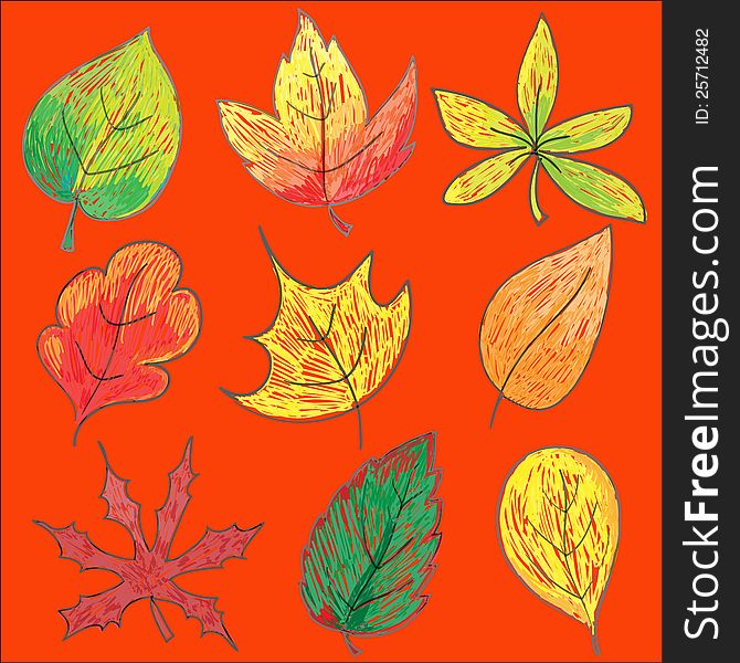 Vector set of leaves painted. Vector set of leaves painted