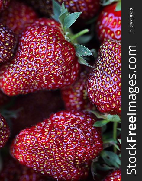 Ripe strawberries closeup. macro shot. Ripe strawberries closeup. macro shot