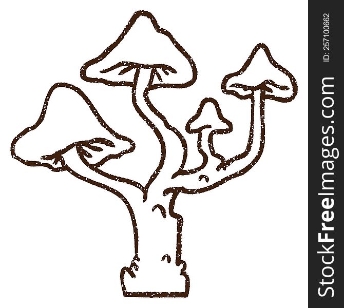 Weird Mushrooms Charcoal Drawing