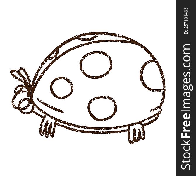 Ladybug Charcoal Drawing