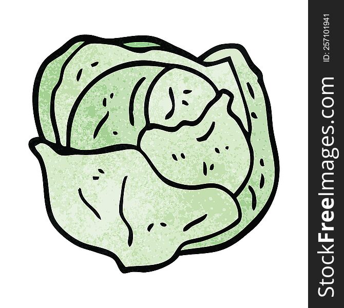 cartoon doodle organic lettuce