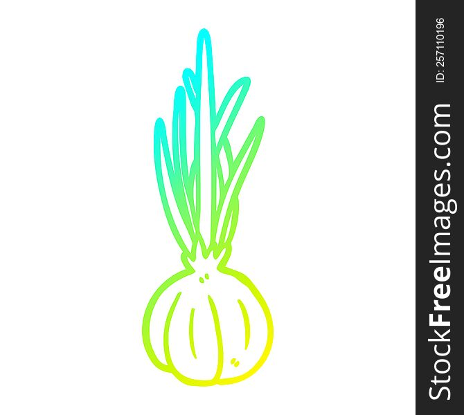 cold gradient line drawing garlic bulb