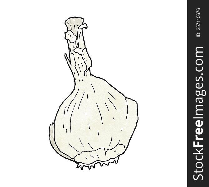 Textured Cartoon Garlic