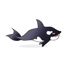 Cartoon Killer Whale Stock Photography