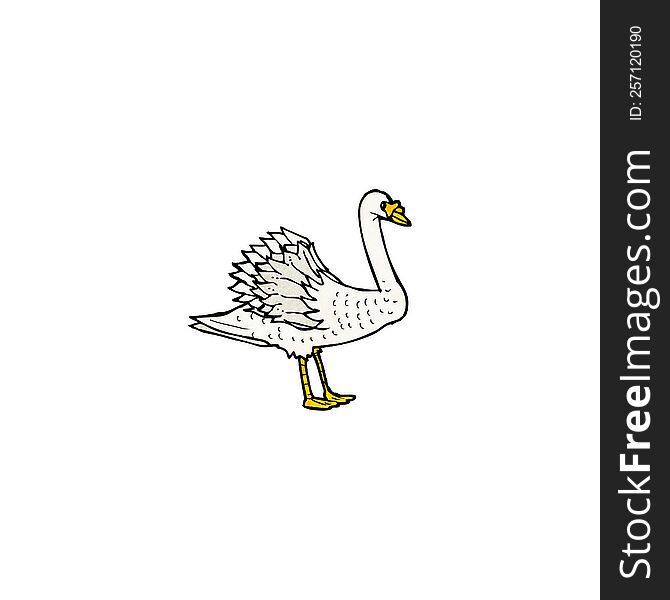 swan illustration