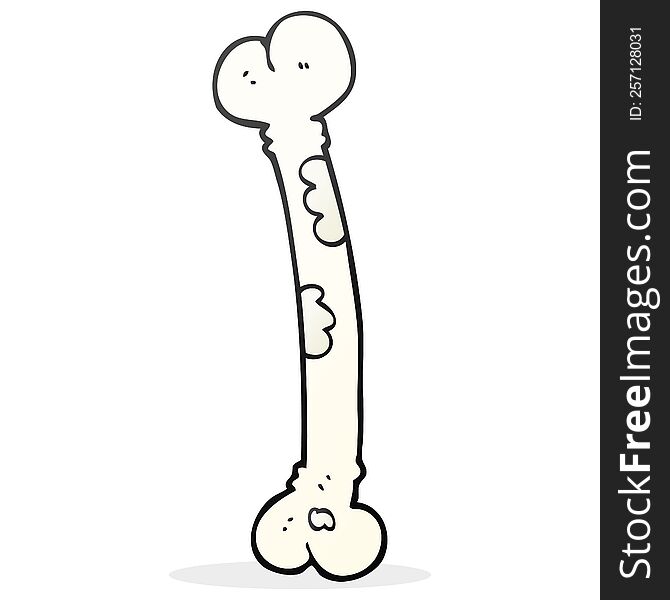 Cartoon Bone