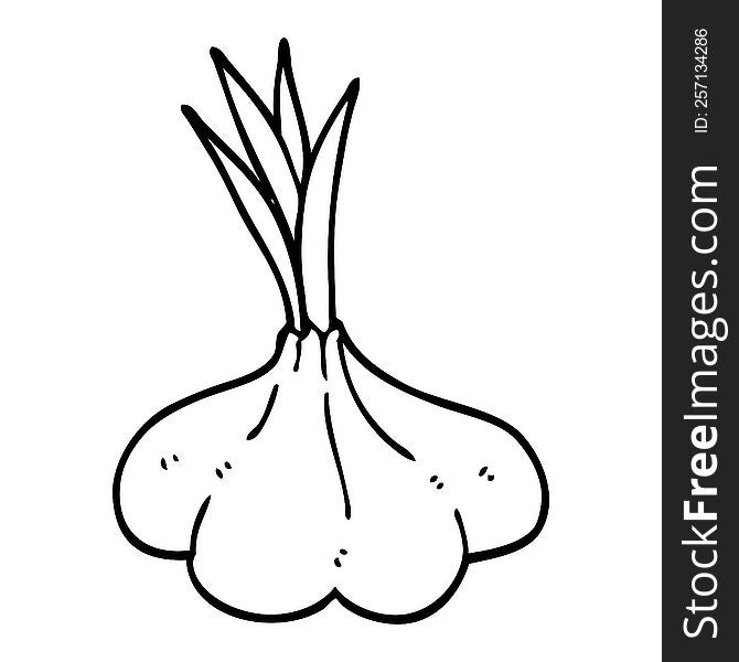 Line Drawing Cartoon Garlic Bulb