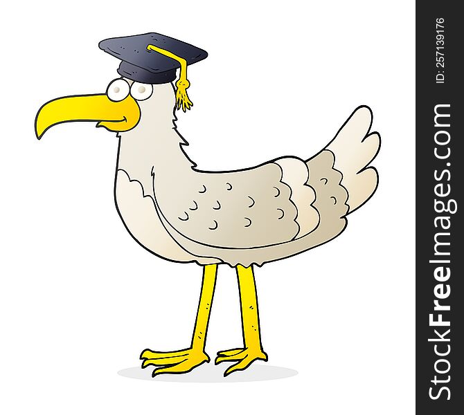 Cartoon Seagull With Graduate Cap