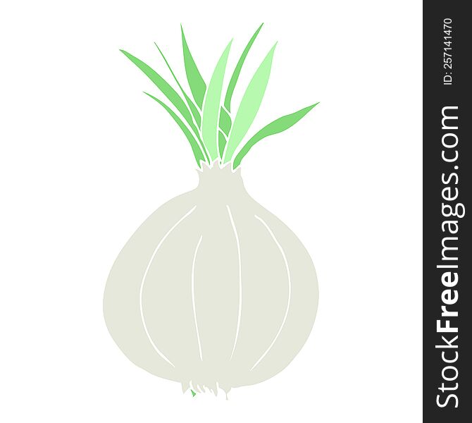 flat color illustration of onion. flat color illustration of onion