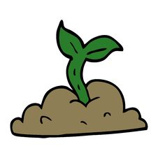 Free Cartoon Growing Seedling Royalty Free Stock Image - 257155536