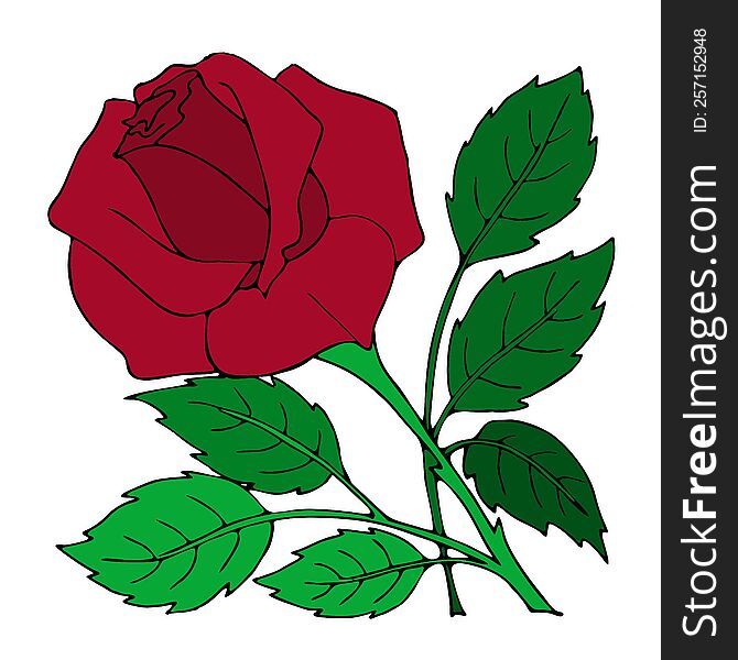 Drawing Red Rose Close-up, Design, Color Graphics, Illustration