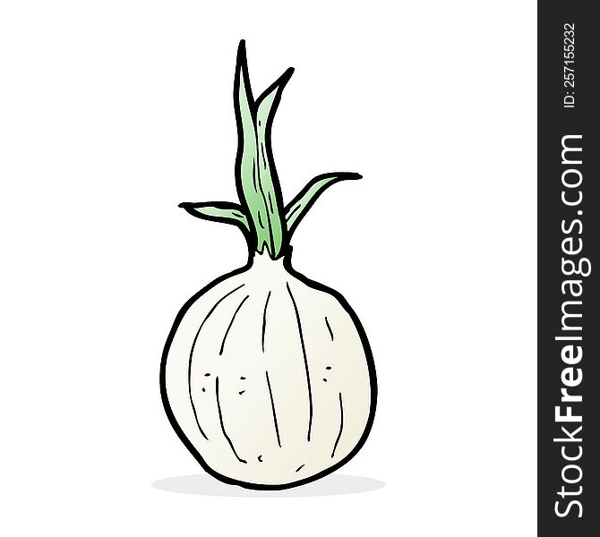 cartoon onion