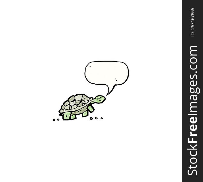 Cartoon Tortoise