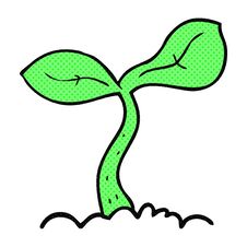 Free Cartoon Seedling Growing Royalty Free Stock Photography - 257162217